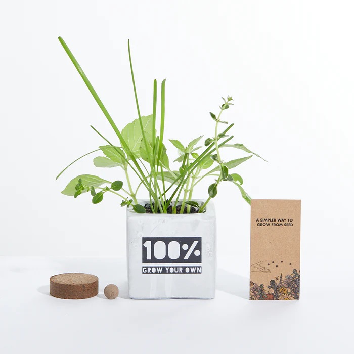 Small Concrete Grow Kit