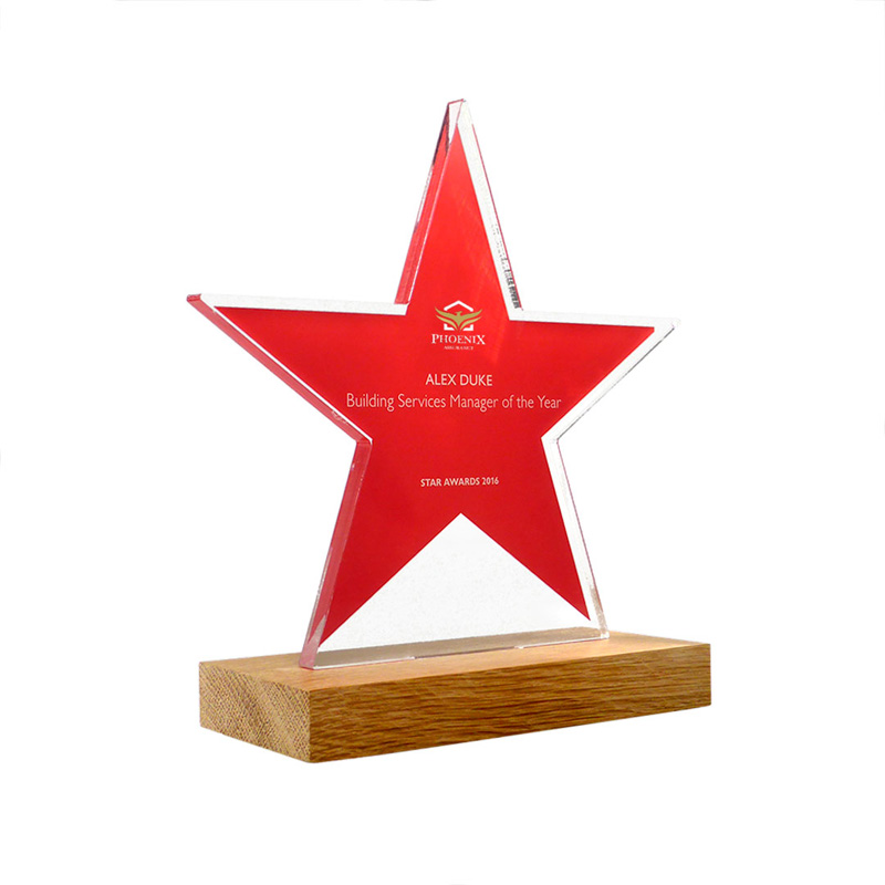 75 x 150mm Bespoke Freestanding Acrylic Award with Real Wood Base