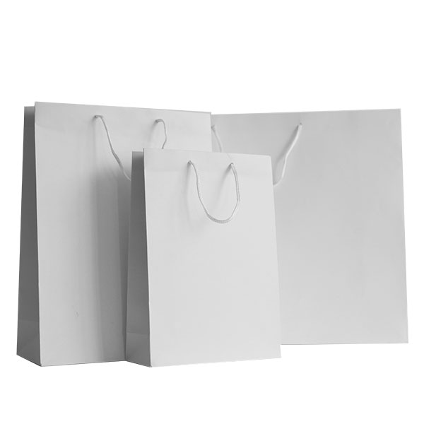 Paper Bag with Twisted Handles - 260 x 360mm