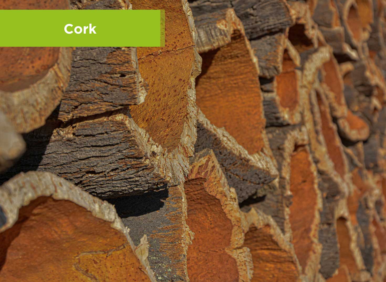 Cork 
