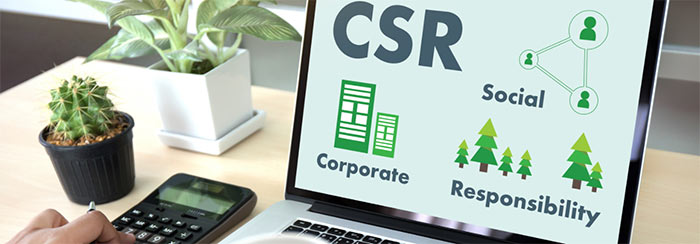 CSR values on laptop screen 