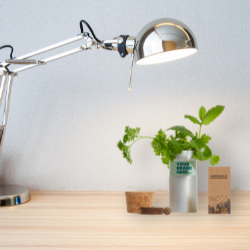 Branded desktop garden 