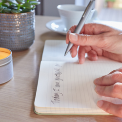 Person writing in a wellbeing journal