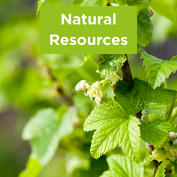 Natural resources are conserved 