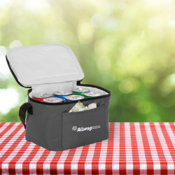 Cooler bag on picnic table