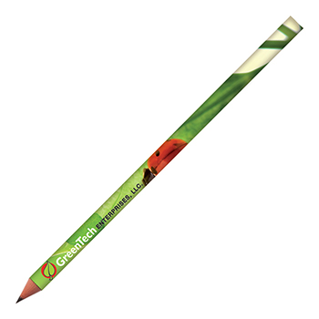 Sustainable Pencils