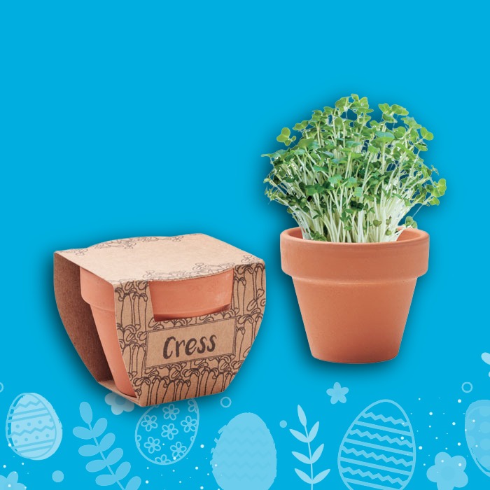 Branded cress growing kit in terracotta pot for sustainable corporate Easter gifting