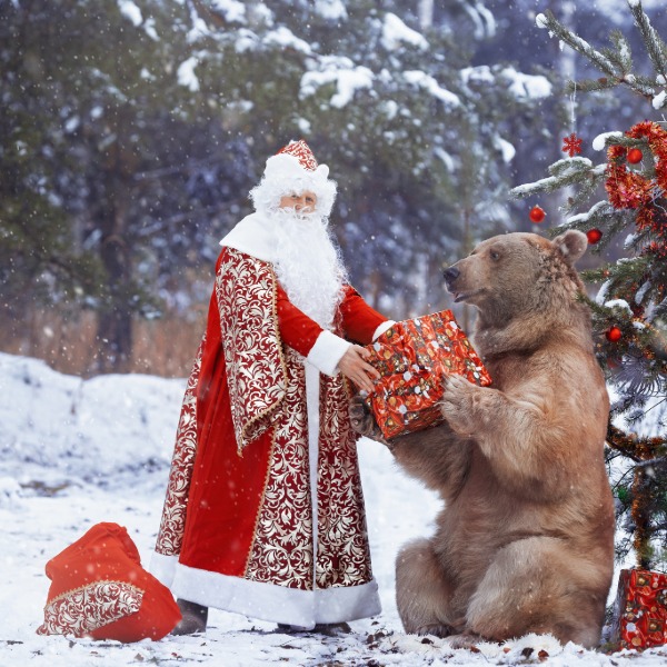 Ded Moroz, the Russian Santa Claus, handing a wrapped gift to a bear.