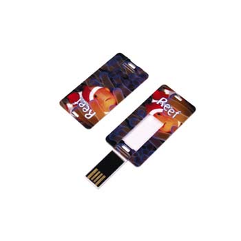 Card Tag USB Flashdrive - 16GB