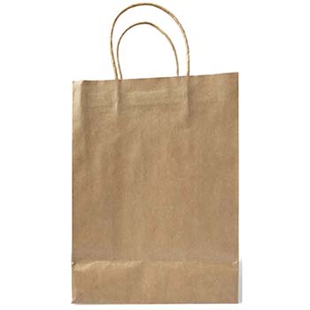 Medium Paper Bag