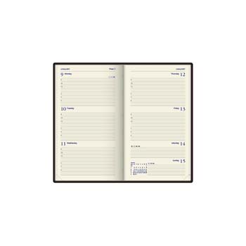 Portrait Pocket Diary (Cream)
