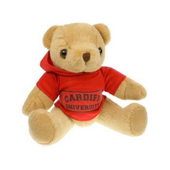 20cm Honey Jointed Bear with Hoodie