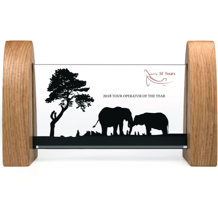 Acrylic Window Award with Real Wood Sides