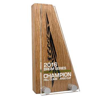 Real Wood Block Award with Acrylic Front - 80 x 150mm