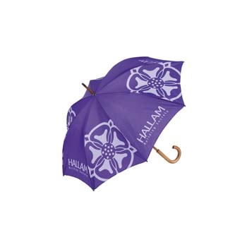 Fashion Walking Umbrella