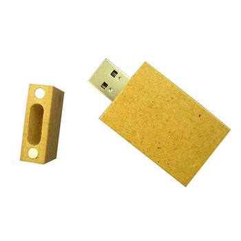 Eco/Cardboard USB Flash Drive 2GB