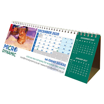 Budget XL Easel Calendar