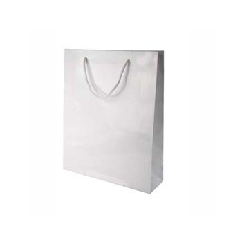 Gloss Laminated Paper Carrier (200 x 200 x 80mm)