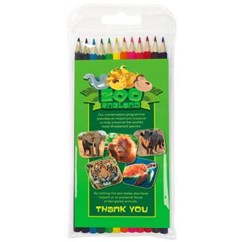 12 Pack Full Length Colouring Pencils  - Carton