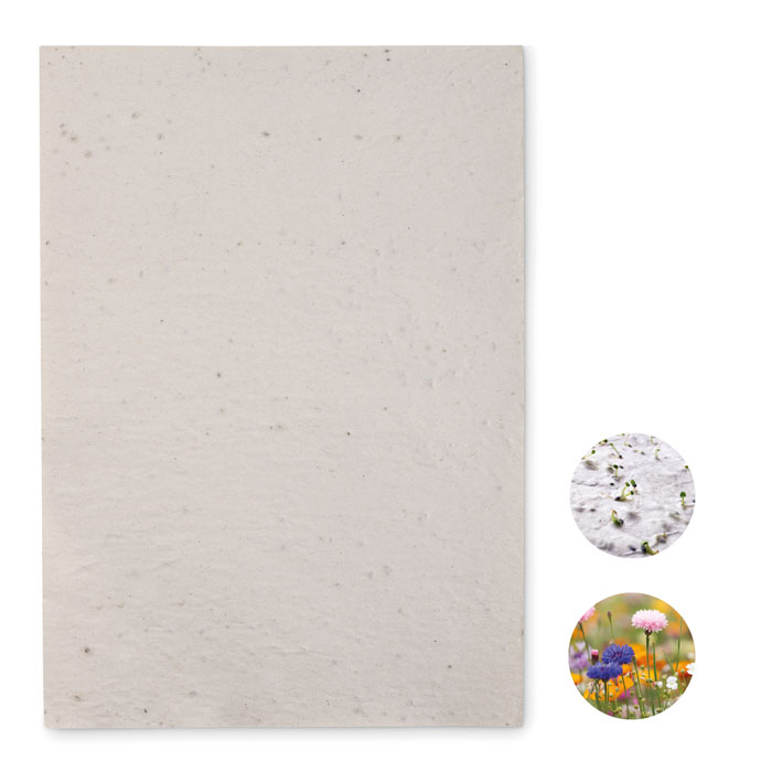 ASIDI Wildflower Seeds A4 Recycled Paper Sheet 