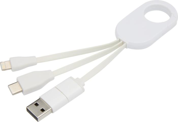 Troop 4-In-1 Recycled plastic charging cable