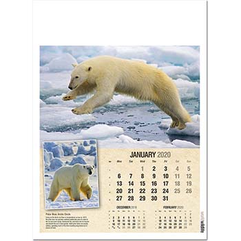 World Wildlife Wall Calendar