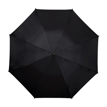 Automatic Windproof Umbrella