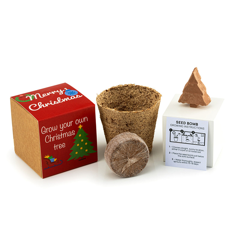 Christmas Tree Seed Bomb Kit