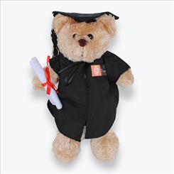 Rocky graduation bear