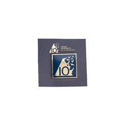10th Anniversary Pin Badge