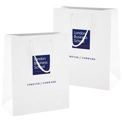 Gift Bag with Rope Handles 